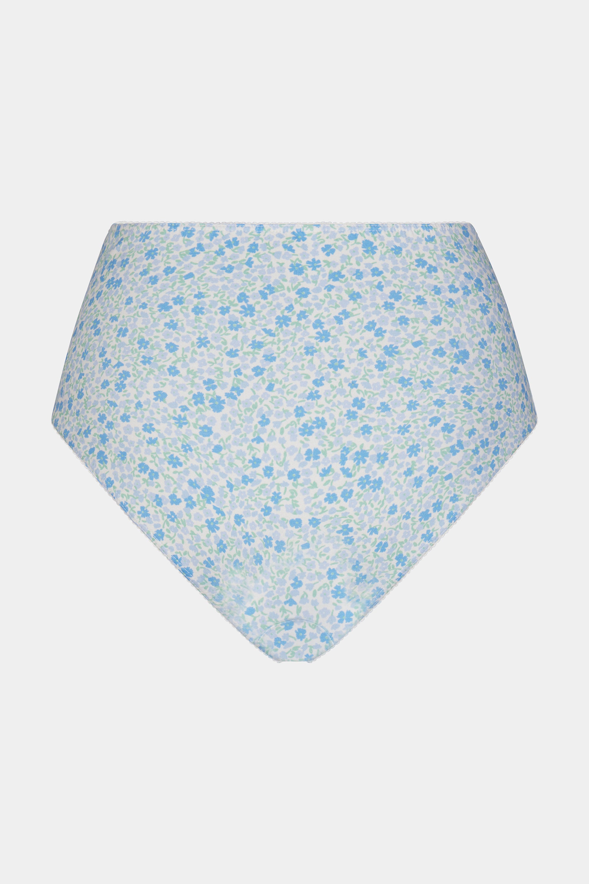 HIGH RISE UNDERWEAR IN MORNING GLORY